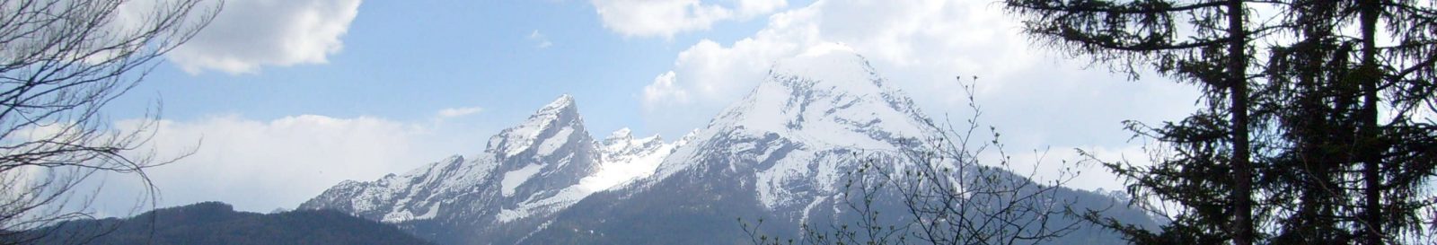 Commentarii